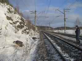 В Свердловской области скончался еще один мужчина, раздавленный пассажирским поездом 