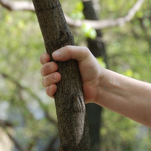 � ���� ��� �������������� ���� ������� ������ ����� �������.