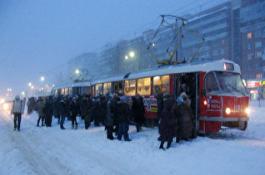 � ������������� ������� ������� �����������