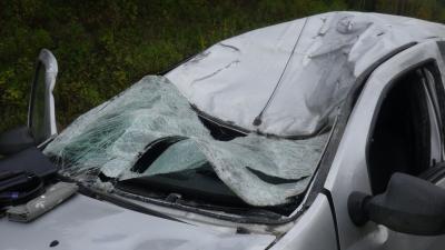 ��� �������������� ���������� ������� �� ����. ����