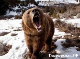 �� �������� ��������� �������-��������������