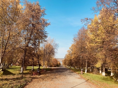 ������������� ���������� ������� ���������� ��� ���������������