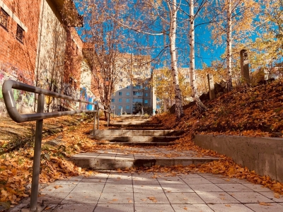 �� ����� ������� � ������������� ������������� 14 �������