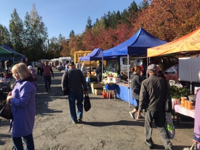 ��� � ��������� �������� � ������������� ����� ������ �������