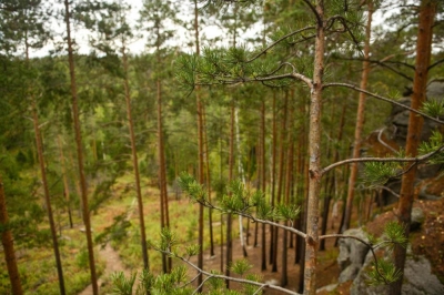 �������������� ��������� ������ �� ���� ������������� �����