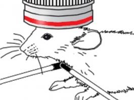 ������ ��������� ������ ����������� ����� ����