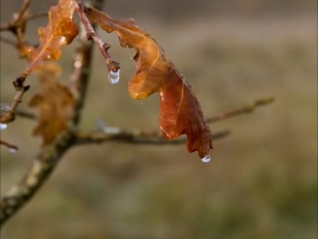 �� ���������� ������������ ������� ������ ������������� �����