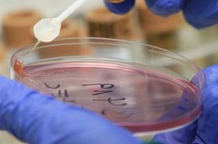 Десятки людей в Первоуральске заболели неизвестной инфекцией