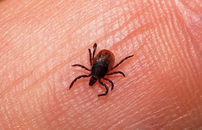 ���� �������� � ���������� ������ ��������� ����������