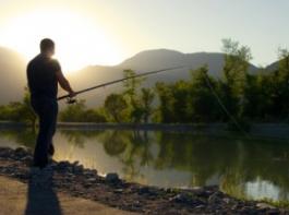 ����� � ������� ��������� �� ������������ ����������