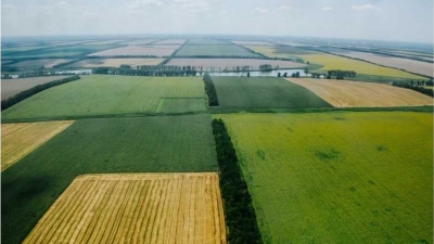 ������� ���������� �������: ����������� � ������