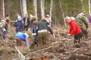 В рамках международной акции «Сад памяти» в Первоуральске высаживают деревья