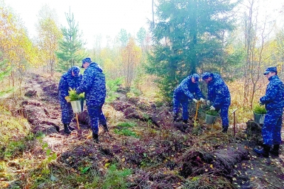 � ������������� ���� �������������� �����