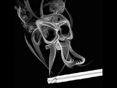 ����� ������� ����� ������ ������