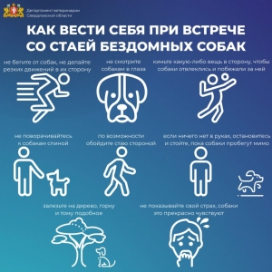 ���� ��������� �����: ���� ���������� � ��� ������?