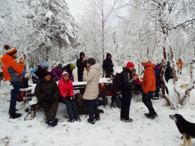 ������������ �������� �������� ������� ���� �������� � �������� ���������� ����