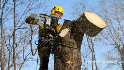 ������������� ���������� ������ ������������ ��������� ������� ��������� �� ������������ �������.