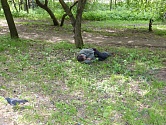  2.  