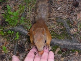  2.  